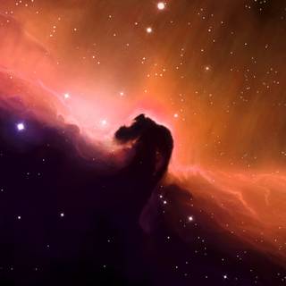 Horse Head Nebula 4k wallpaper