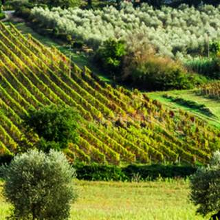 Tuscany iPhone wallpaper