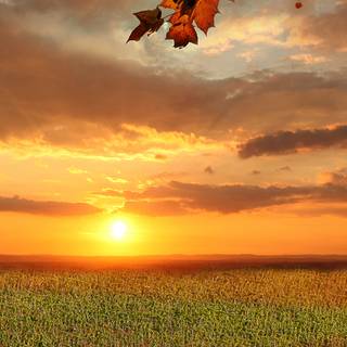 Tuscany iPhone wallpaper