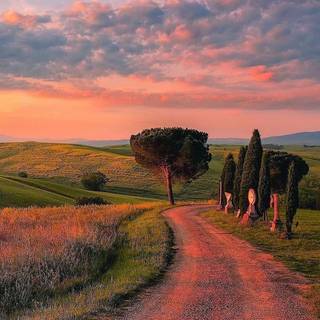 Tuscany iPhone wallpaper