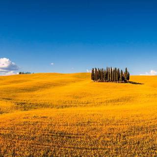 Tuscany iPhone wallpaper