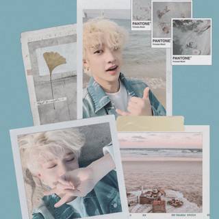 Bang Chan phone wallpaper
