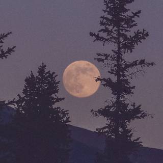 Aesthetic moon phone wallpaper