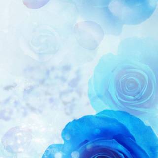 Blue rose iPhone wallpaper