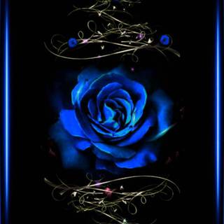 Blue rose iPhone wallpaper