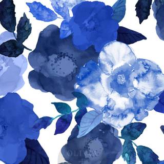 Blue rose iPhone wallpaper