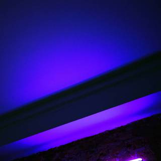 Purple neon iPhone wallpaper