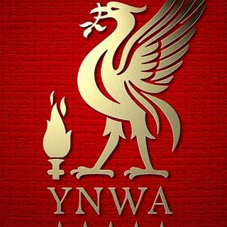YNWA iPhone wallpaper