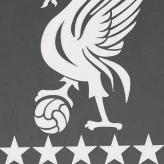 YNWA iPhone wallpaper