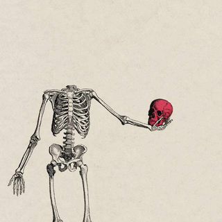 Bones iPhone wallpaper