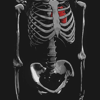 Bones iPhone wallpaper