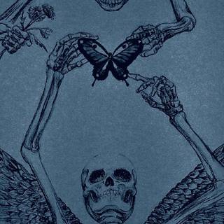 Bones iPhone wallpaper