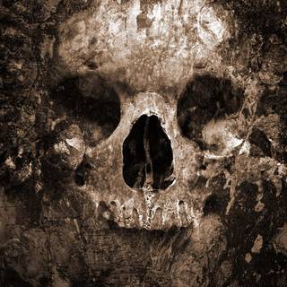 Bones iPhone wallpaper