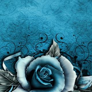 Blue rose iPhone wallpaper