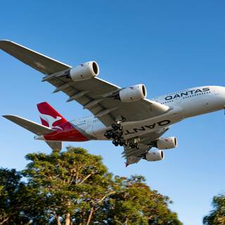 Qantas 4k wallpaper