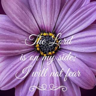 Psalms 118:6 wallpaper