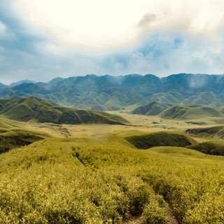 Dzukou Valley wallpaper