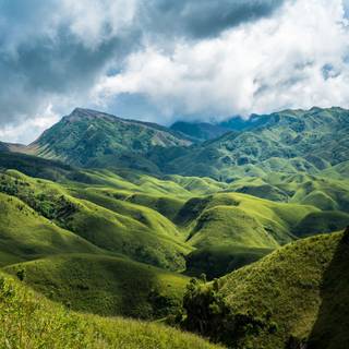 Dzukou Valley wallpaper