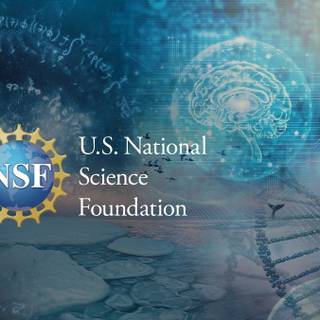 National Science Foundation wallpaper