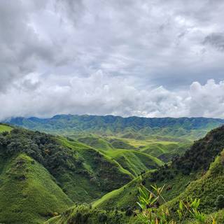 Dzukou Valley wallpaper