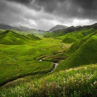 Dzukou Valley wallpaper