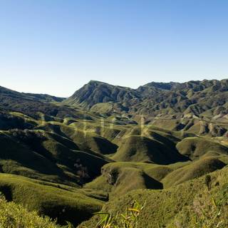 Dzukou Valley wallpaper