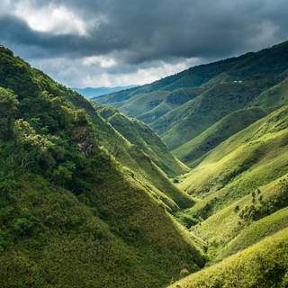 Dzukou Valley wallpaper