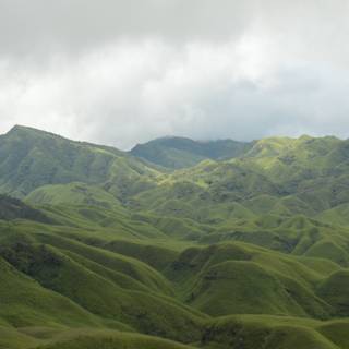Dzukou Valley wallpaper