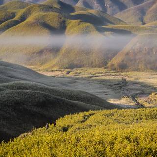 Dzukou Valley wallpaper