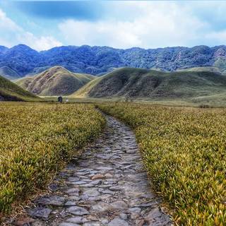 Dzukou Valley wallpaper