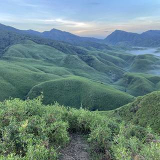 Dzukou Valley wallpaper