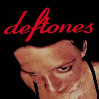 Around The Fur wallpaper