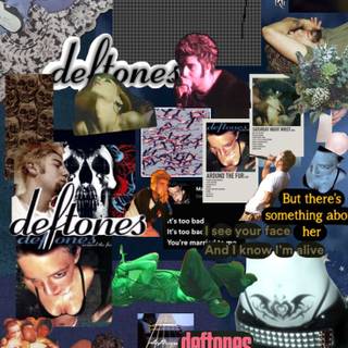 Around The Fur wallpaper