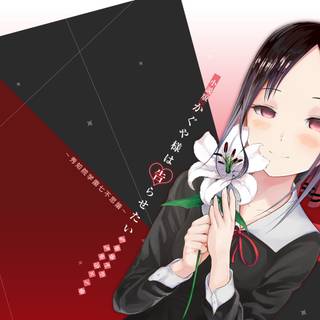 Kaguya Sama PC wallpaper