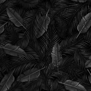 Black plants wallpaper