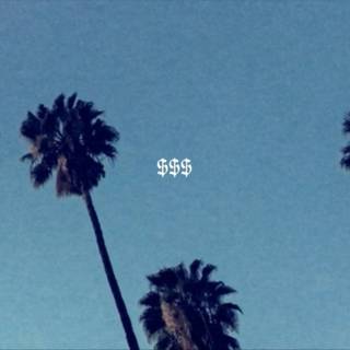 Dollar logo wallpaper