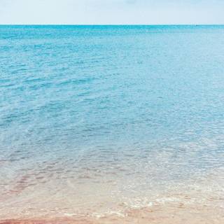 Happy nature wallpaper