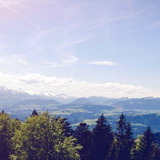 Happy nature wallpaper