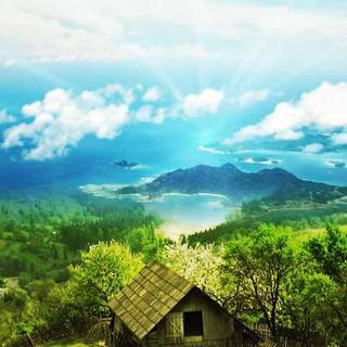 Happy nature wallpaper