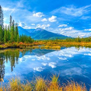 Happy nature wallpaper