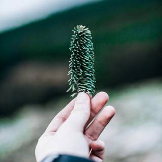 Happy nature wallpaper