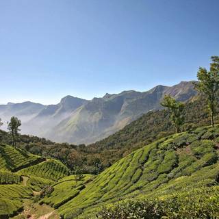 Deccan plateau wallpaper