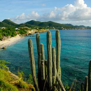 Curaçao island wallpaper