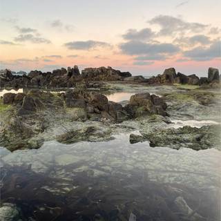 Guernsey island wallpaper