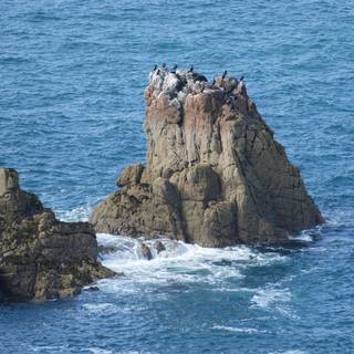 Jersey island wallpaper