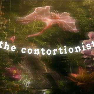 The Contortionist wallpaper