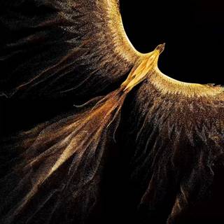 Honor Magic V3 wallpaper