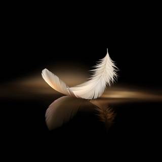 Honor Magic V3 wallpaper