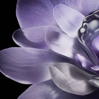 Xiaomi Mix Flip wallpaper