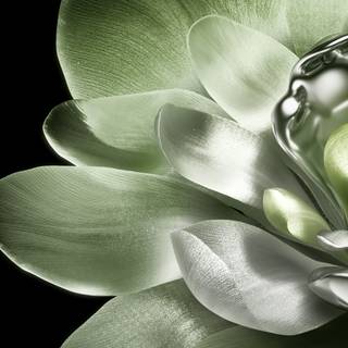 Xiaomi Mix Flip wallpaper